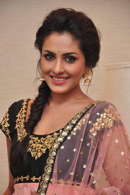 Telugu Actress Madhu Shalini Latest Pics In Pink Saree 11